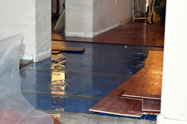 Professional Water Extraction technician working in Worden, IL